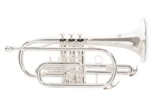 Корнет Roy Benson CR-202S Bb-Cornet