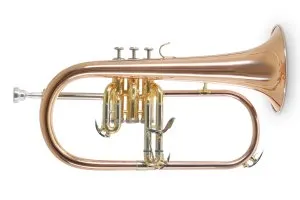Флюгельгорн Roy Benson FH-302G Bb-Flugelhorn