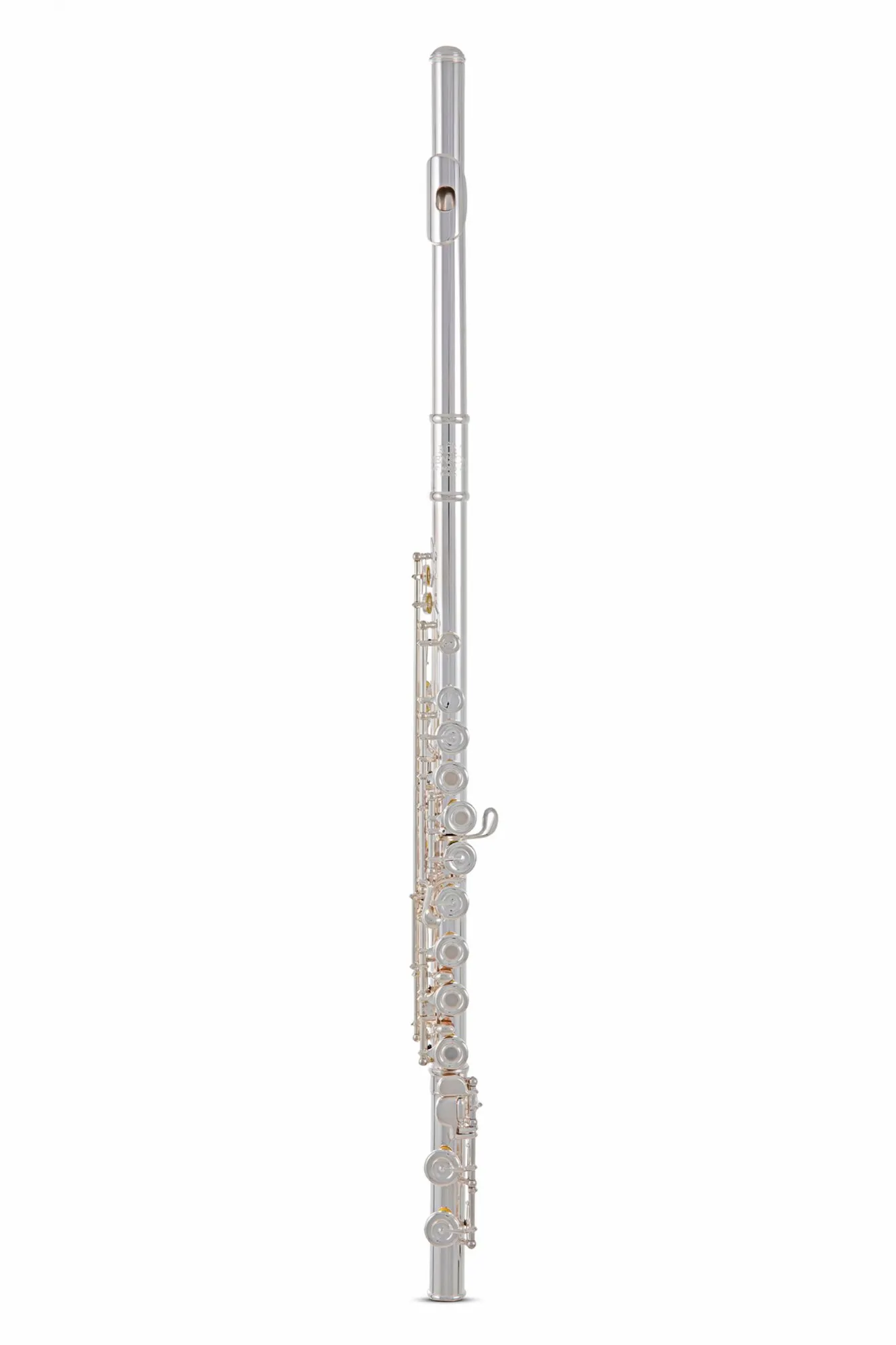 Флейта Roy Benson FL-602RE